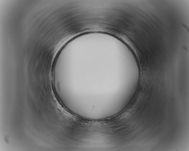 X0000102790951200809081046