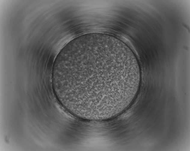 X0000102790954200809081046