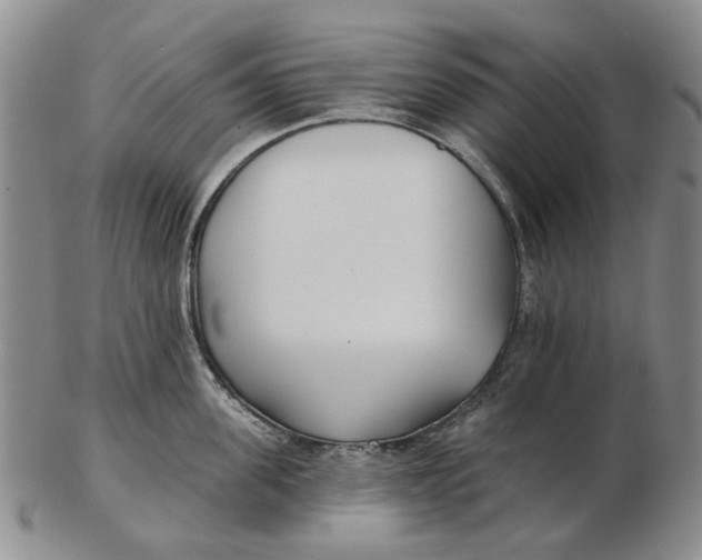 X0000102790955200809081046