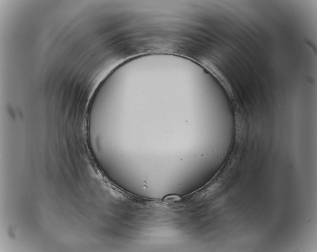 X0000102790956200809081046