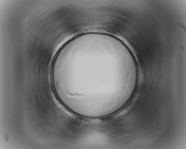 X0000102790957200809081046