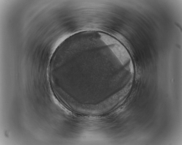 X0000102790958200809081046