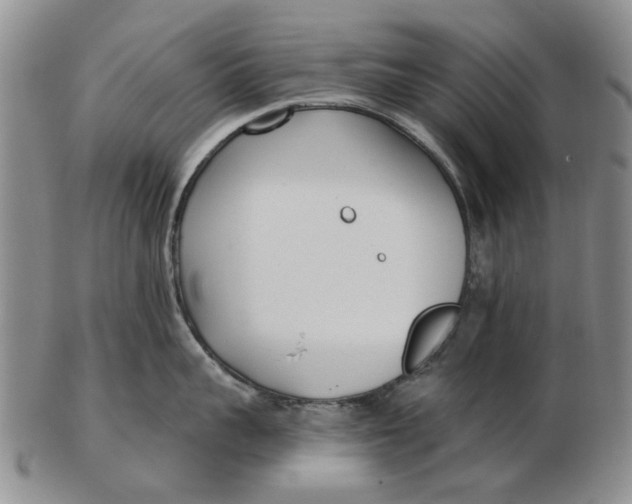 X0000102790959200809081046