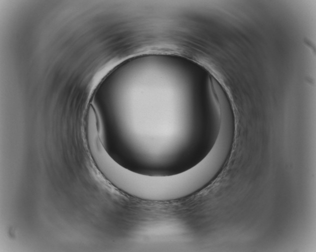 X0000102790960200809081046