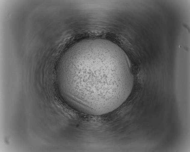 X0000102790961200809081046