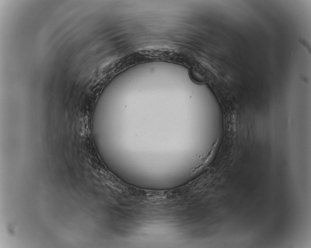 X0000102790965200809081046