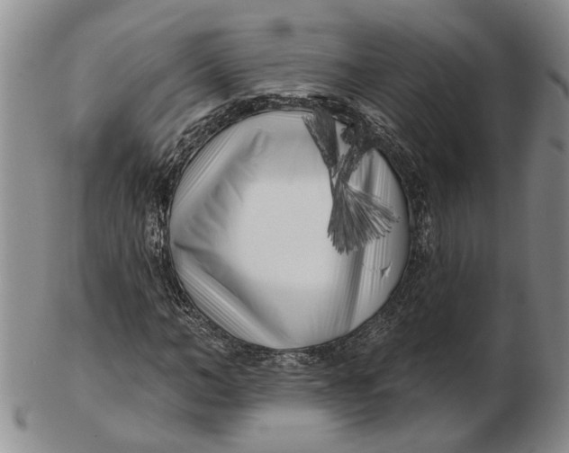 X0000102790966200809081046