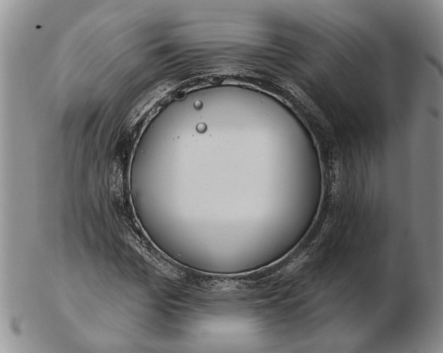 X0000102790969200809081046