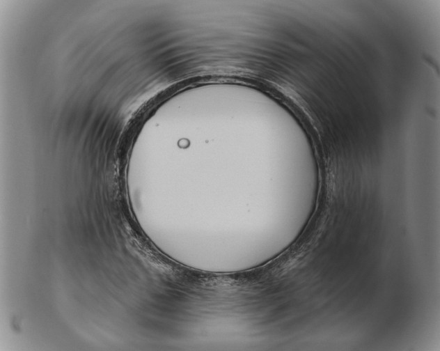 X0000102790971200809081046