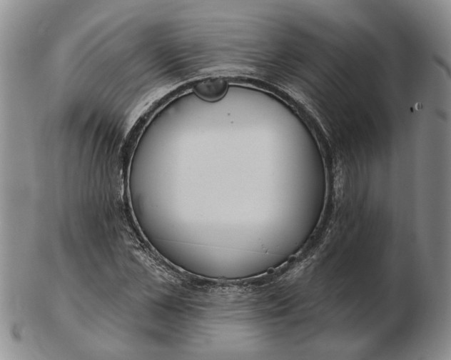 X0000102790973200809081046