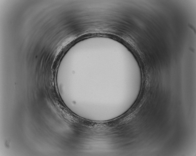 X0000102790974200809081046