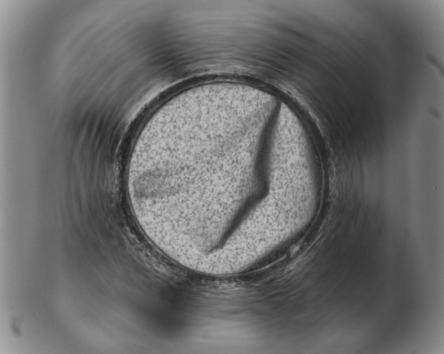 X0000102790975200809081046