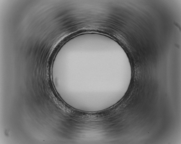 X0000102790976200809081046