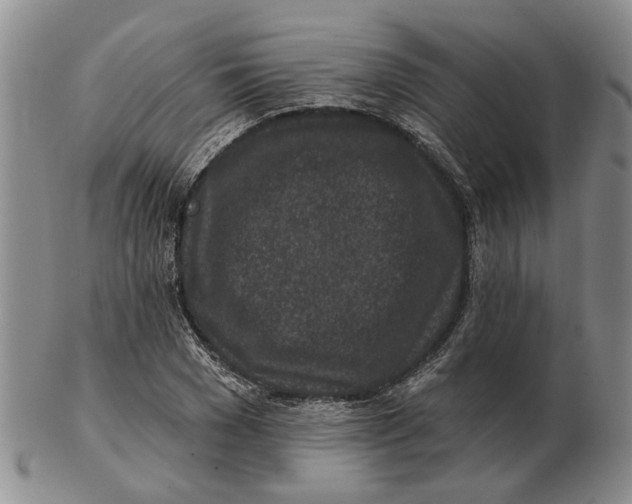 X0000102790977200809081046