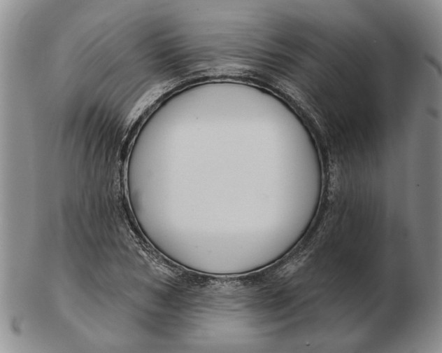 X0000102790978200809081045