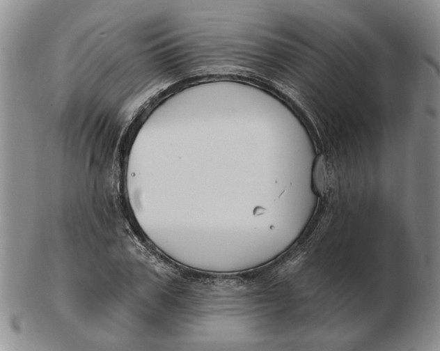 X0000102790979200809081045