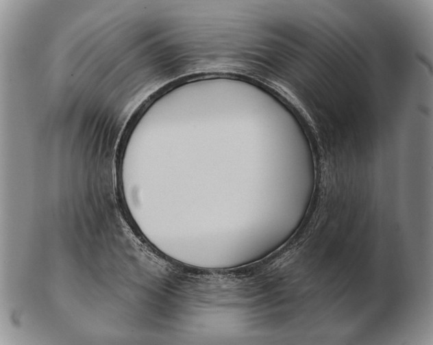 X0000102790980200809081045