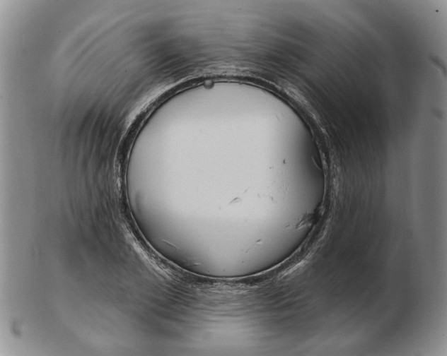 X0000102790981200809081045