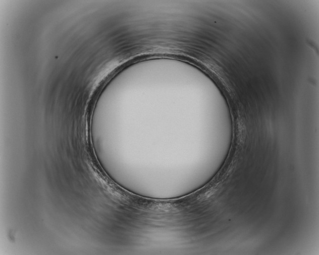 X0000102790982200809081045