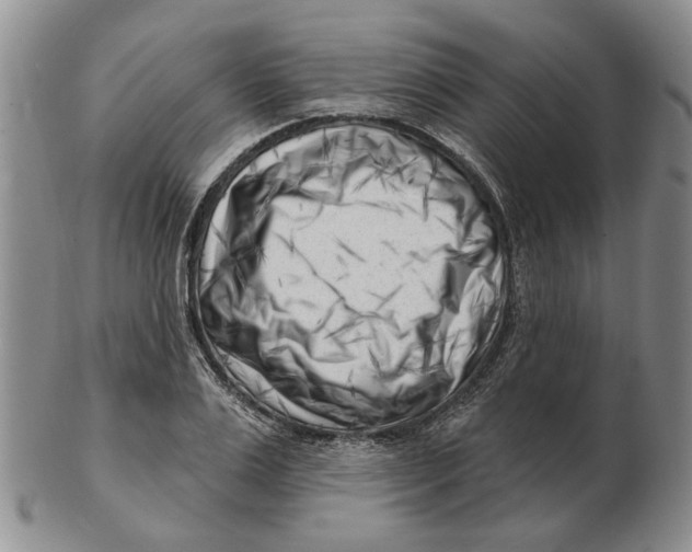 X0000102790983200809081045