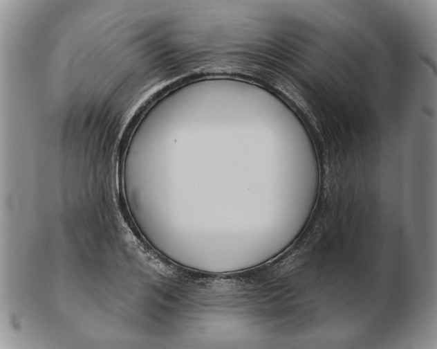 X0000102790984200809081045