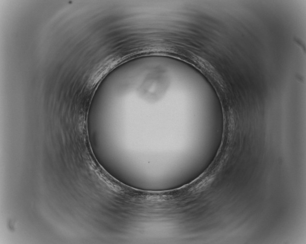 X0000102790985200809081045