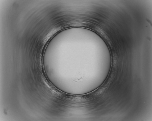 X0000102790986200809081045