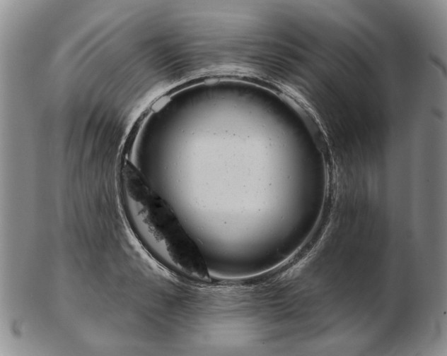 X0000102790989200809081045