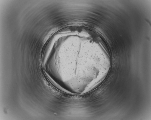 X0000102790994200809081045