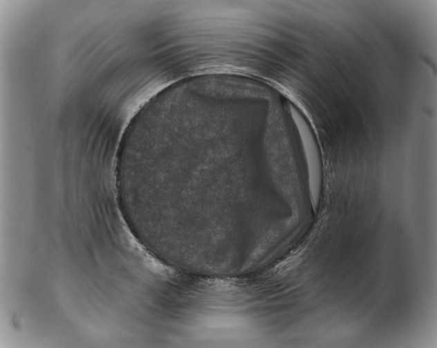 X0000102790995200809081045