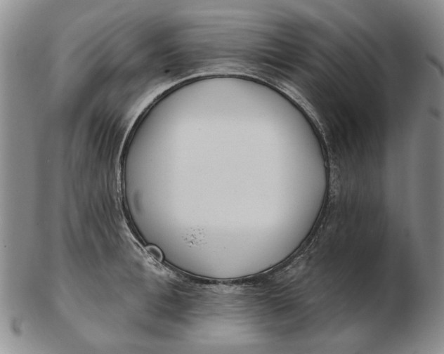 X0000102790996200809081045