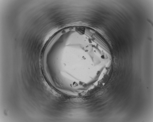 X0000102790998200809081045