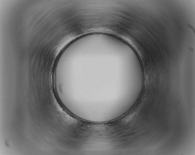 X0000102790999200809081045