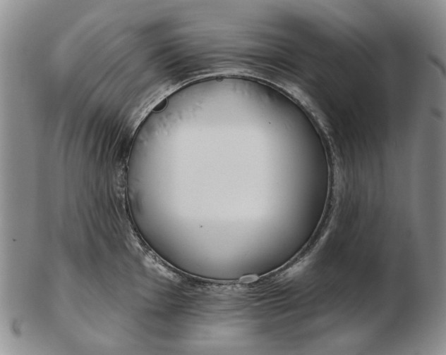 X0000102791001200809081045