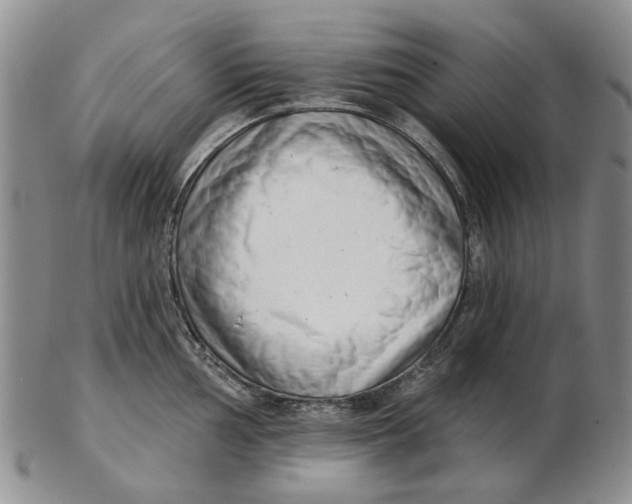 X0000102791002200809081045