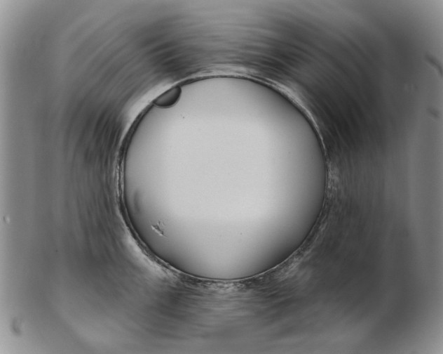 X0000102791003200809081045