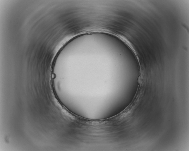 X0000102791005200809081045