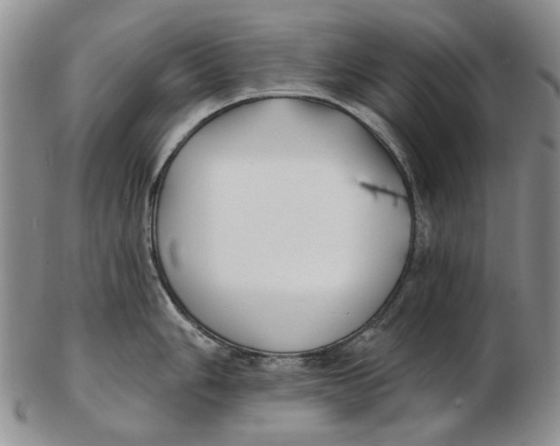 X0000102791006200809081045