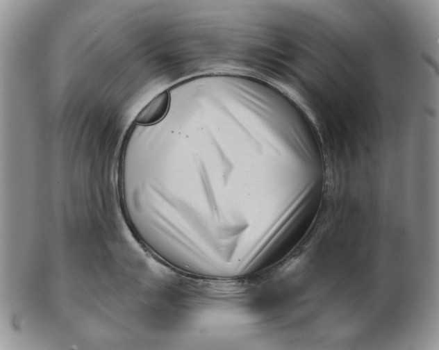 X0000102791007200809081045