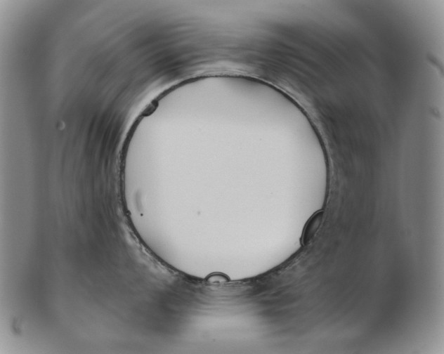 X0000102791008200809081045