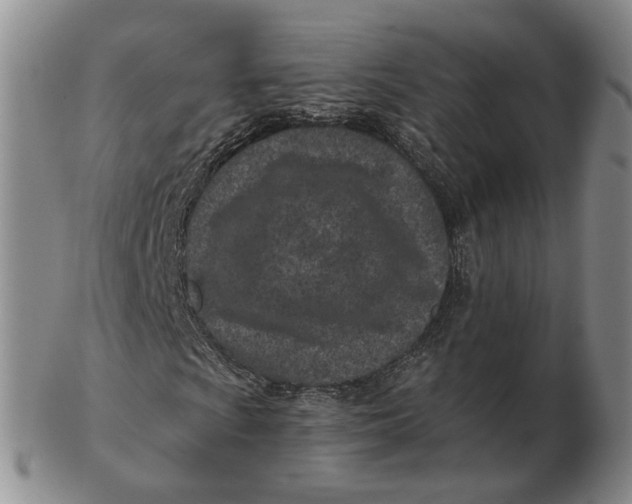 X0000102791009200809081044