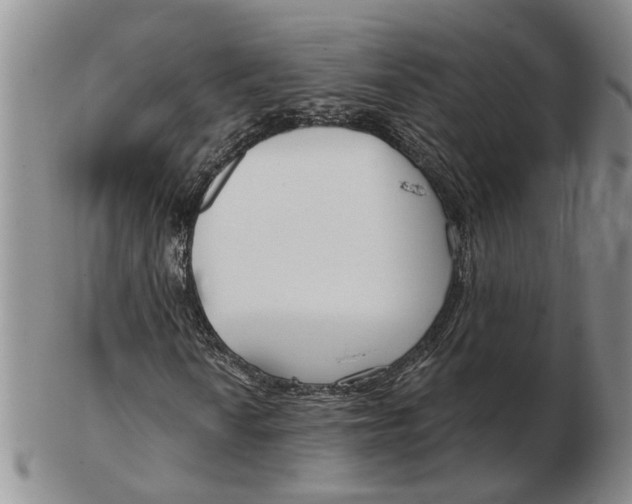 X0000102791010200809081044