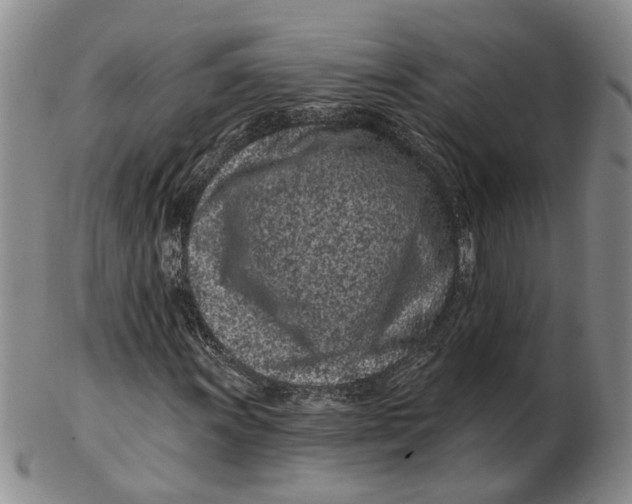 X0000102791011200809081044