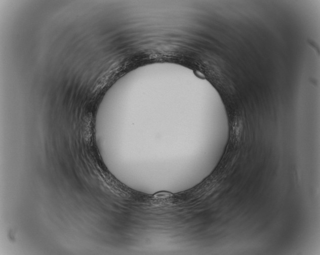 X0000102791012200809081044