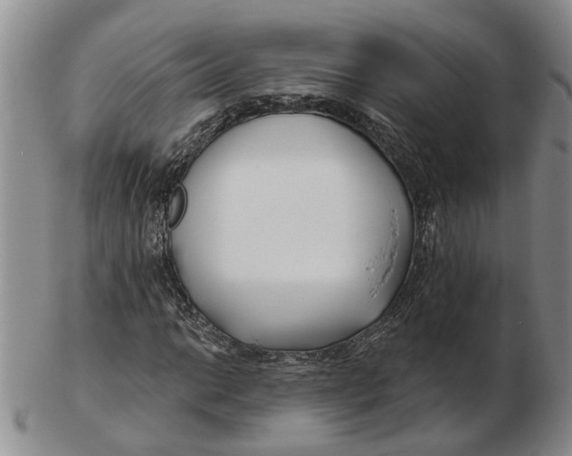 X0000102791014200809081044