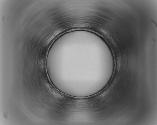 X0000102791017200809081045