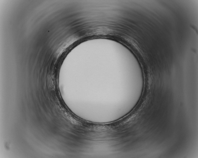 X0000102791018200809081045