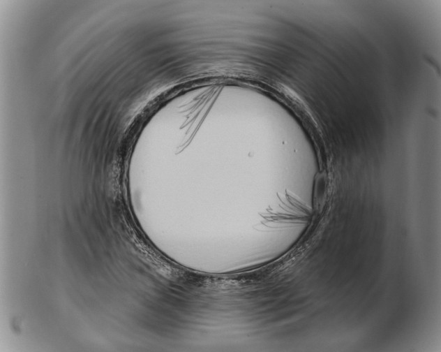 X0000102791019200809081045