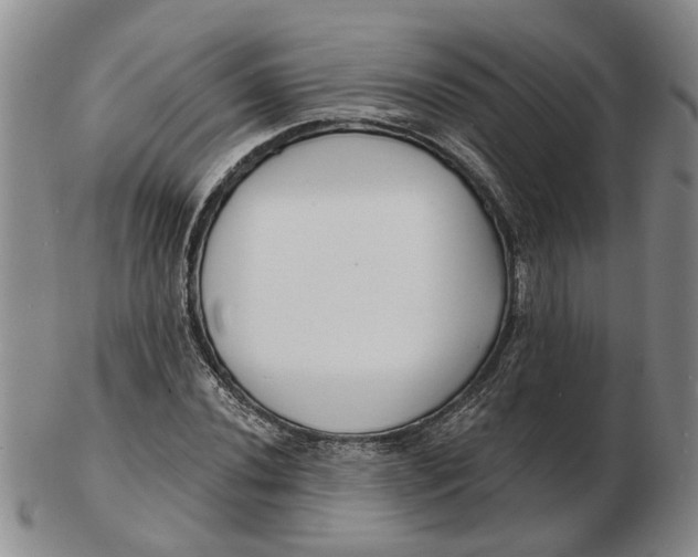 X0000102791020200809081045