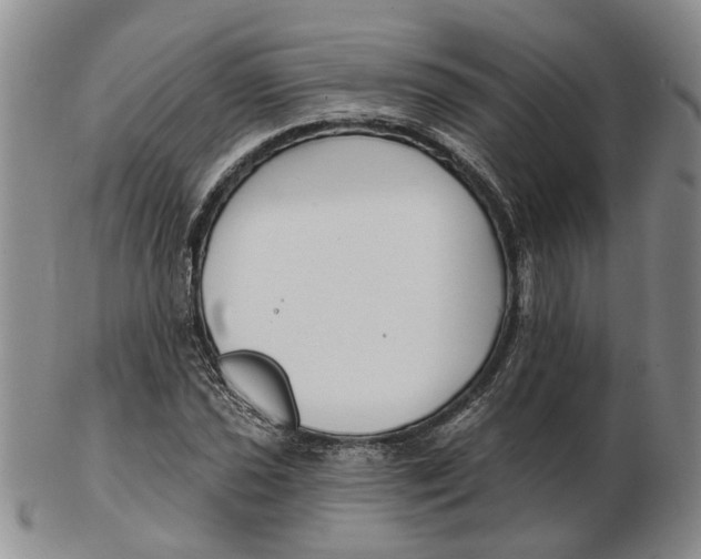 X0000102791021200809081045